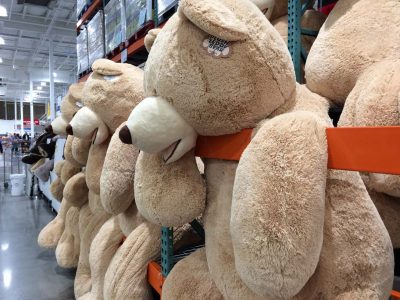 Costco-Giant-Plush-Teddy-Bear