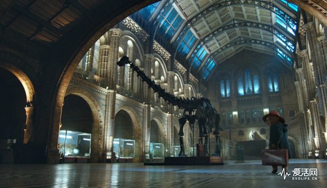 Paddington---NHM_753x435[1]