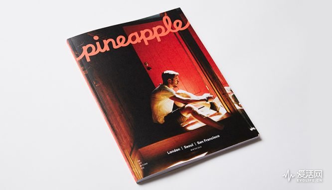 pineapple-blog-cover