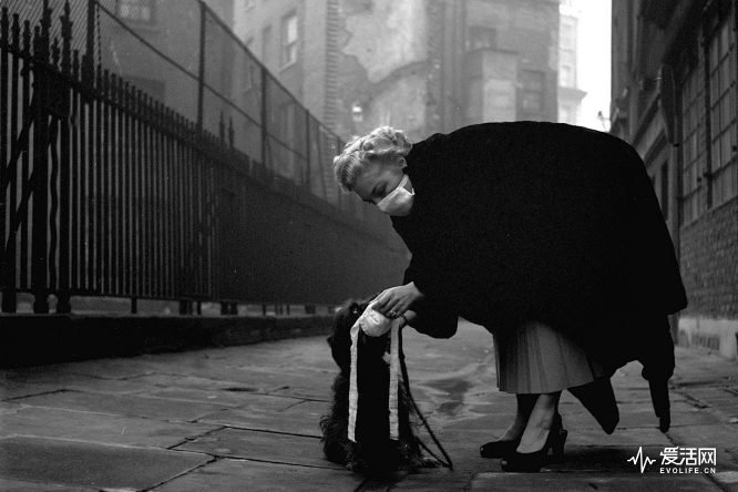 1953, A woman wearing a mask during the London smog, also puts one on her dog (Photo by Popperfoto/Getty Images)