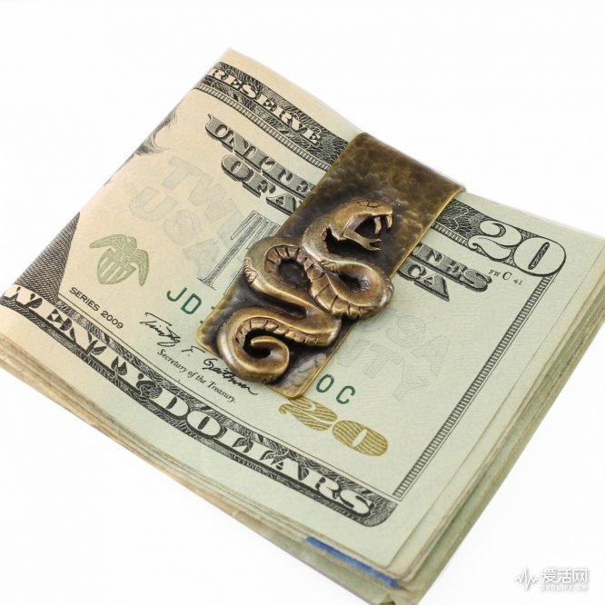 Snake-money-clip1