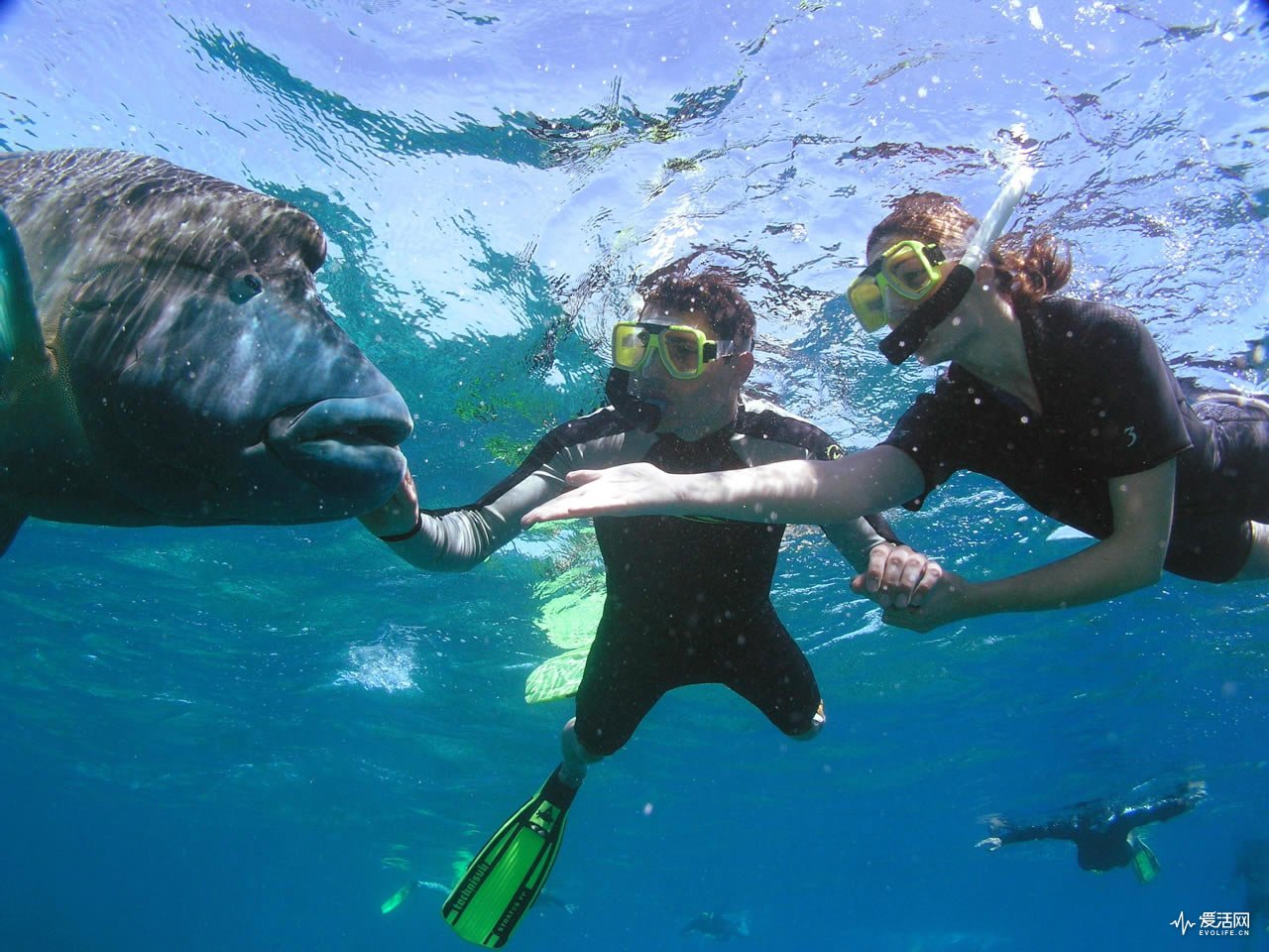 ланта снорклинг. снорклинг лас америкас. дибба снорклинг. снорклинг что. сноркелинг малайзия.