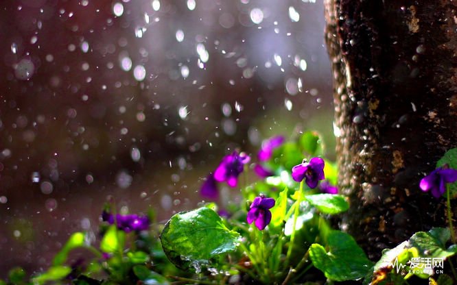 管他刮风下雨下冰雹 不能在坏天气拍出好照片才不是真的摄影师 | 爱活网 Evolife.cn