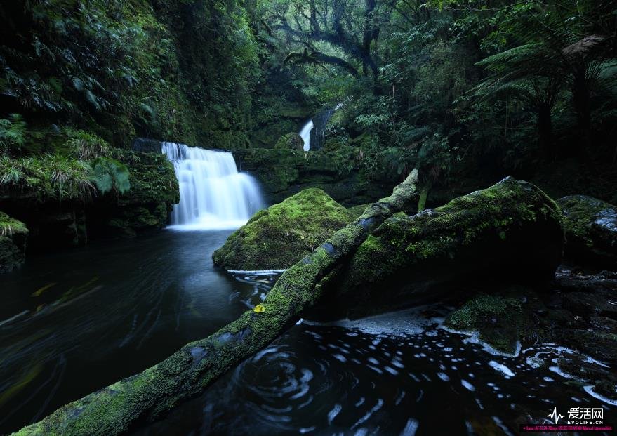 D5附体 尼康D850详细参数都在这里! - 中国在