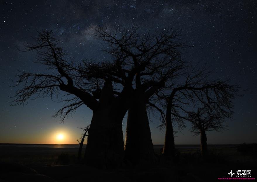 D5附体 尼康D850详细参数都在这里! - 中国在