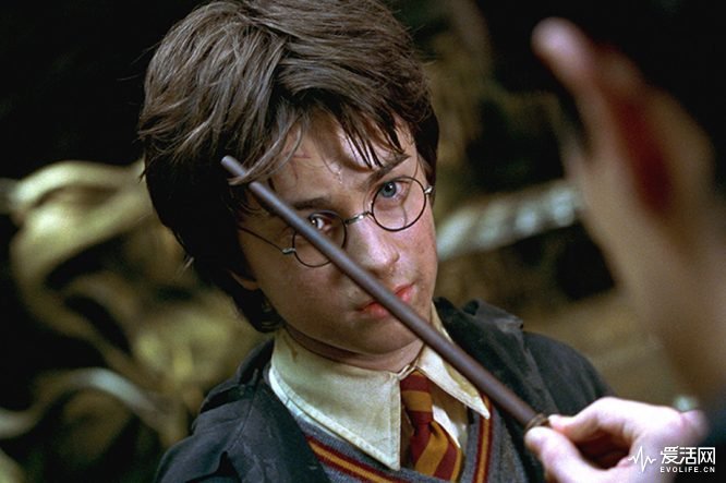 harry-potter-wand-face.0.png