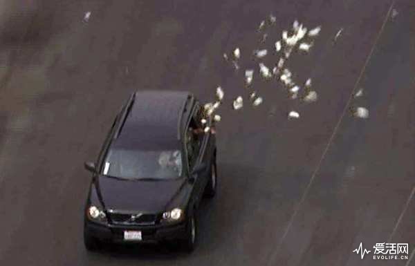 [Bank robbery suspects Wednesday led authorities on a bizarre pursuit from Santa Clarita to South Los Angeles, where they began throwing money out the car, drawing crowds eager to scoop up the cash and culminating in a mob scene when the chase ended. The incident began shortly after 10 a.m. when at least five suspects held up a Bank of America branch on Soledad Canyon Road in Santa Clarita, officials said.] *** []