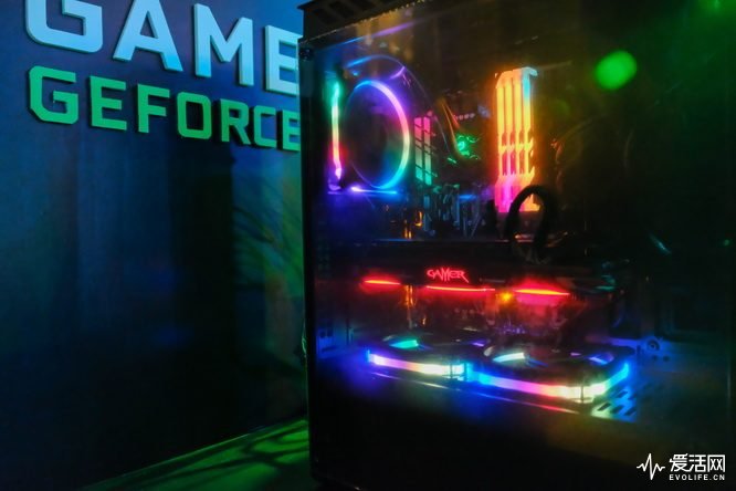 _DSF0012