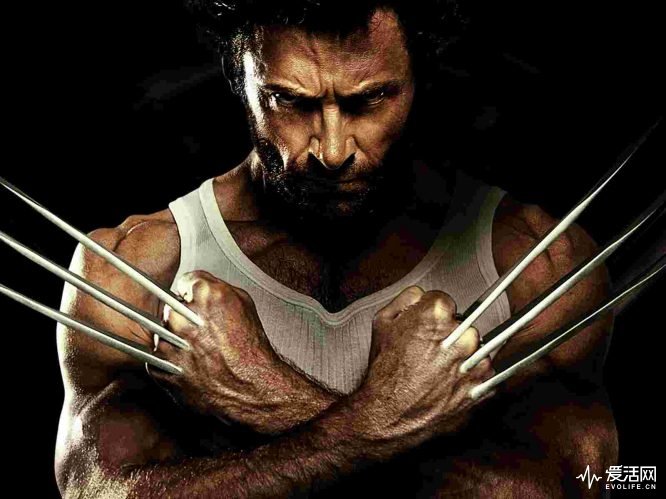 Hugh-Jackman-(Logan)-in-X-Men-Origins_-Wolverine-02