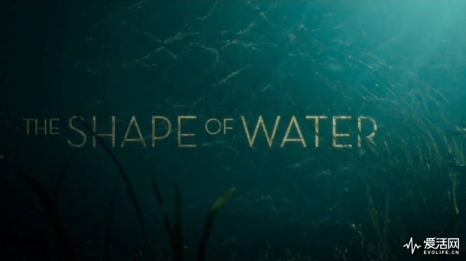 14139-the-shape-of-water-trailer