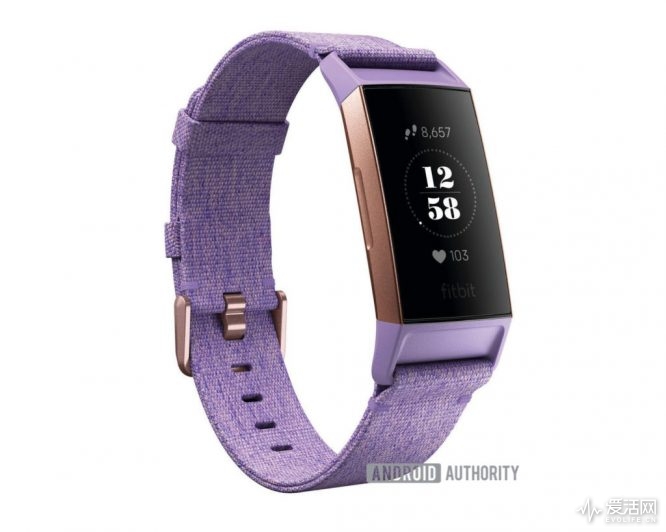 Fitbit-charge-3-leak-2