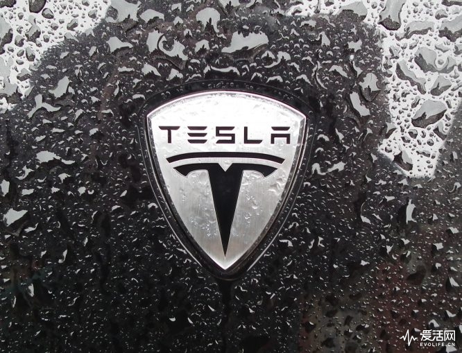 Tesla Logo