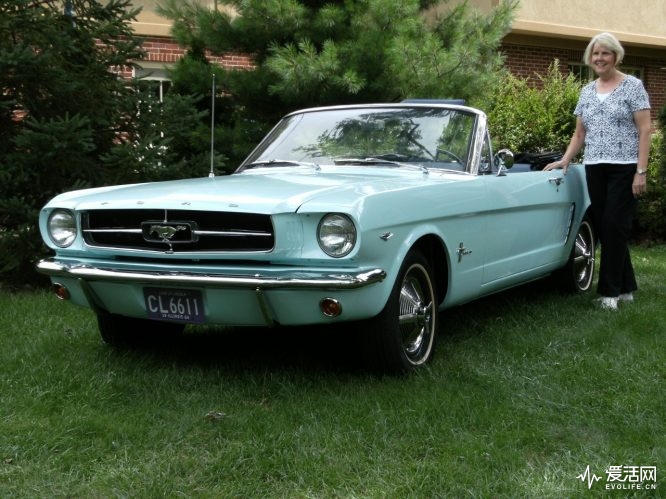 1965-Ford-Mustang-Gail-Brown-Wise