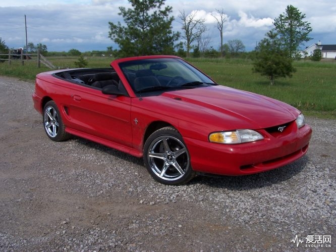 1994_ford_mustang_2_dr_std_convertible-pic-53806