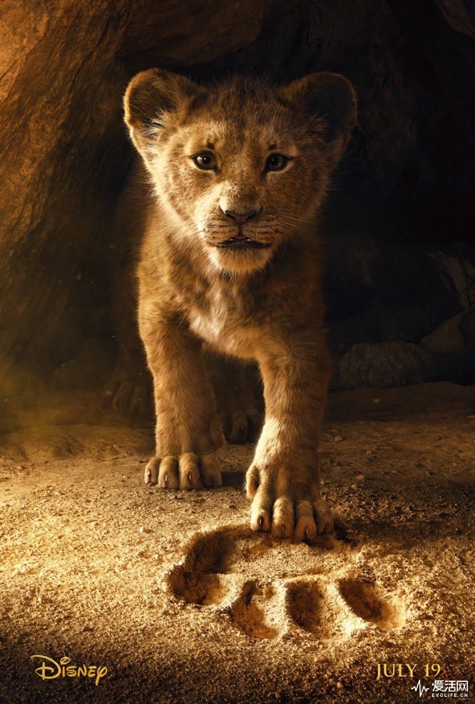 rs_1024x1517-181122145541-1024.the-lion-king-poster.112218