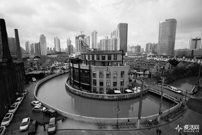 DSC_2437