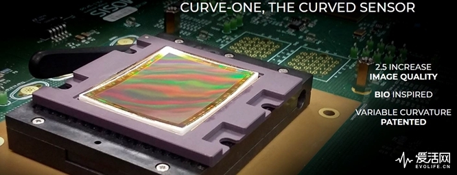 Curve-One-curved-sensors1