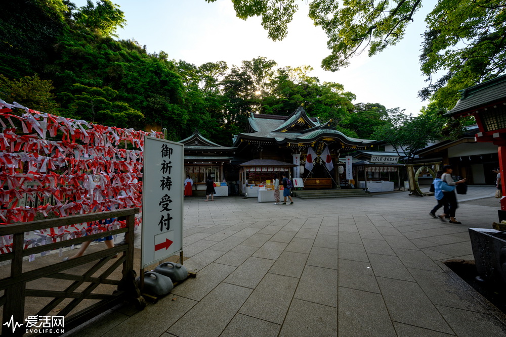 _DSC0484