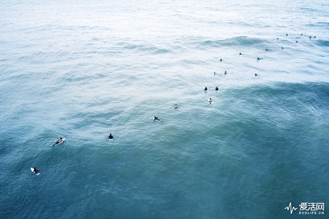 aerial-photos-swell-endless-blue-drew-doggett-10