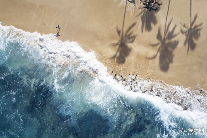 aerial-photos-swell-endless-blue-drew-doggett-13