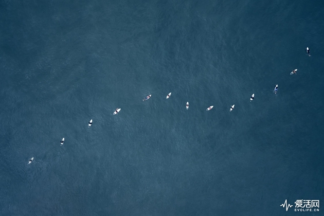 aerial-photos-swell-endless-blue-drew-doggett-8