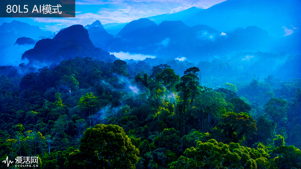 80L5 AI
