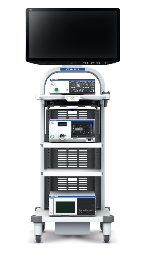 79E31458-9C12-480B-AB23-EC0E194497B6