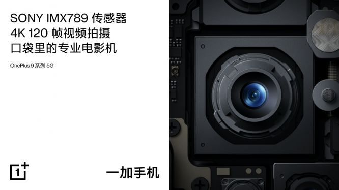 微信图片_20210308165124