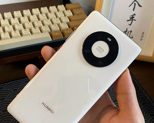图片10