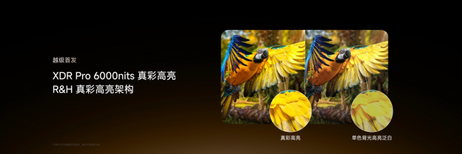图片 6